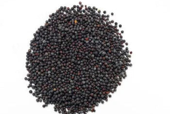 Black Mustard Seeds