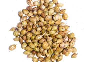 Whole Coriander Seeds